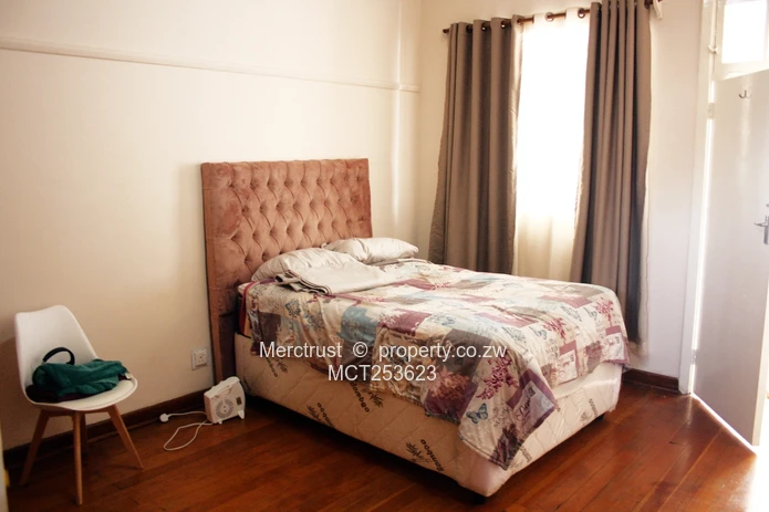 Very neat and spacious apartment
