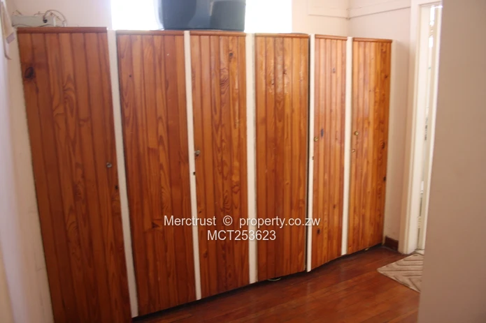 Very neat and spacious apartment