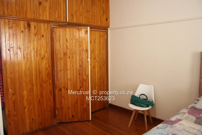 Very neat and spacious apartment